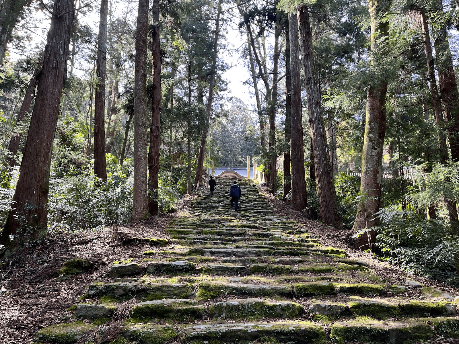 上州勝山 天上夢幻 大吟醸 山田錦1800ml【株式会社 中勇酒造店】 生酒専門店 美